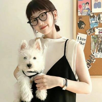 学园救援团 在线观看